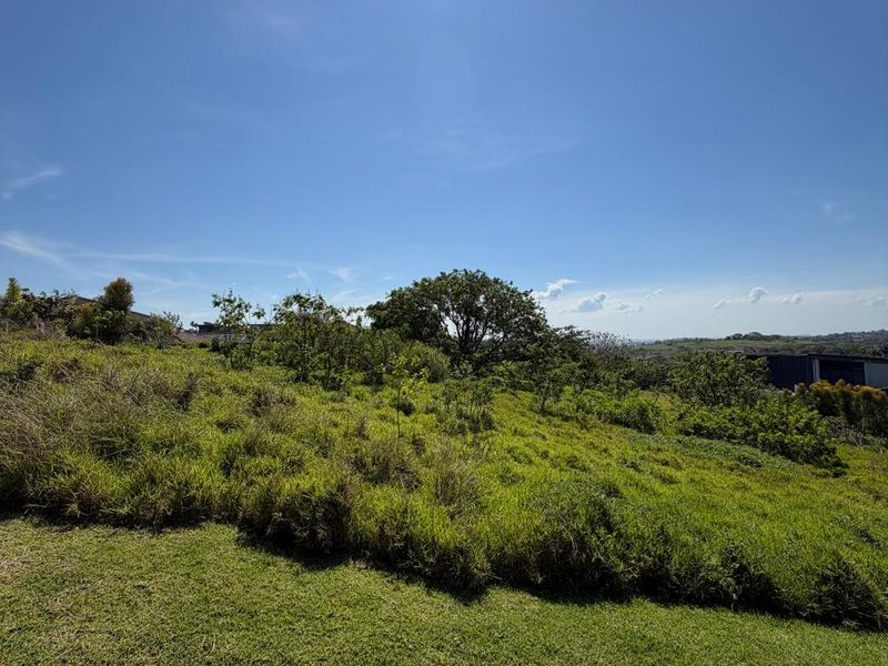 Prime 2,039 m2 Vacant Stand with Approved Building Plans in Palm Lakes Estate - Photo 9