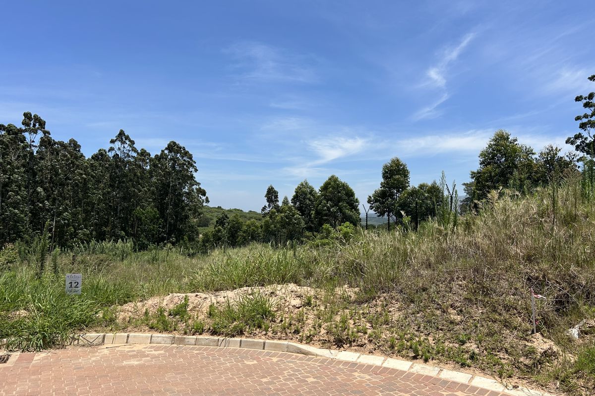 Easy Build for your Coastal Dream - Photo 3