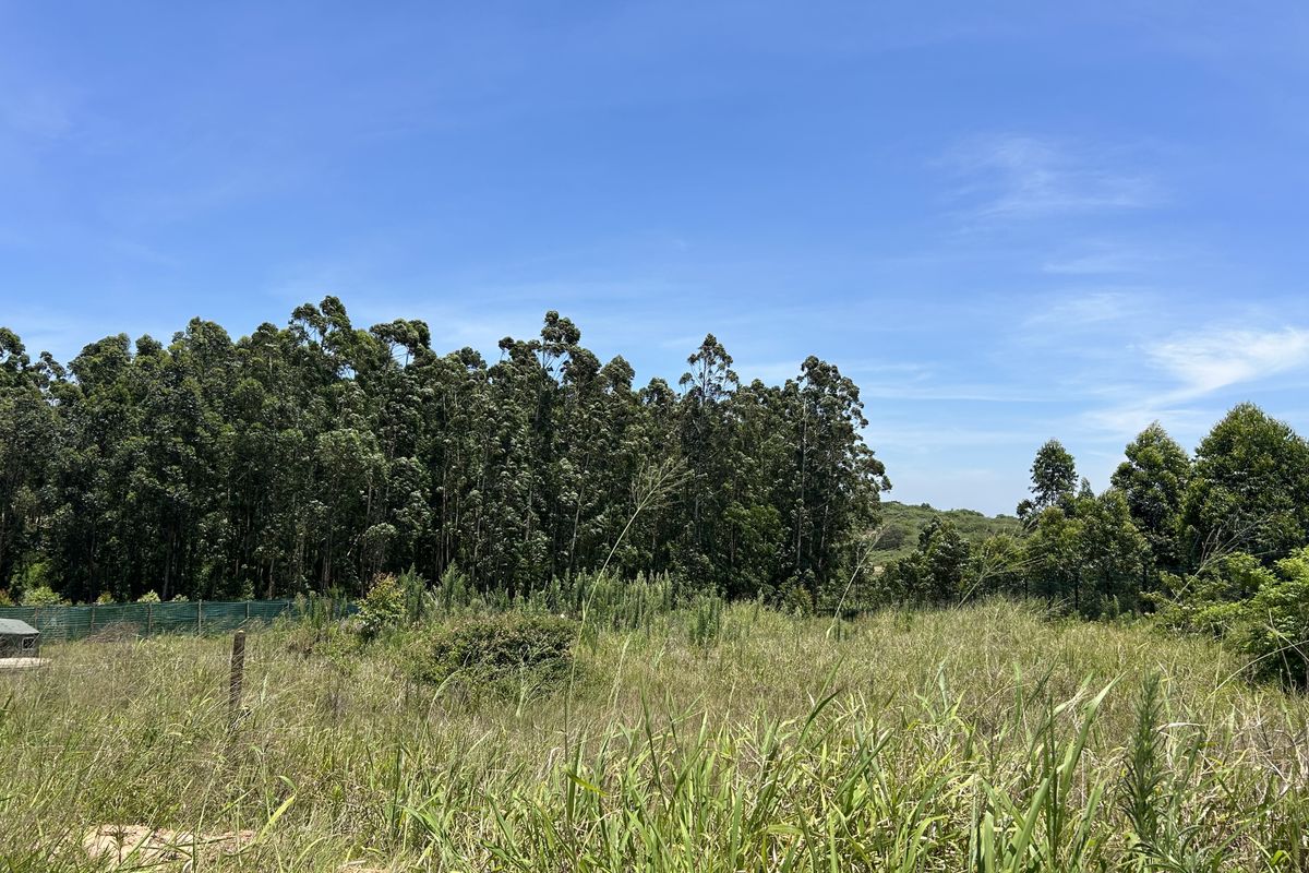 Easy Build for your Coastal Dream - Photo 2