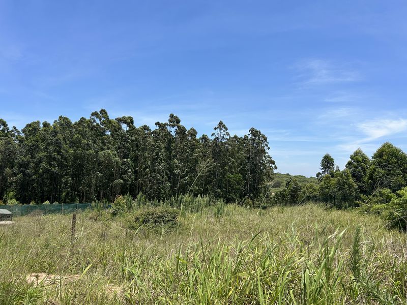 Easy Build for your Coastal Dream - Photo 2