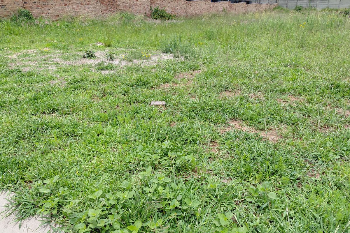 Prime Vacant Stand in Secure, Guarded Estate – Build Your Dream Home - Photo 2