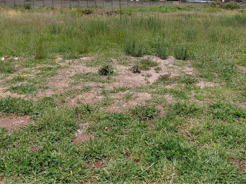 Prime Vacant Stand in Secure, Guarded Estate – Build Your Dream Home - Photo 4