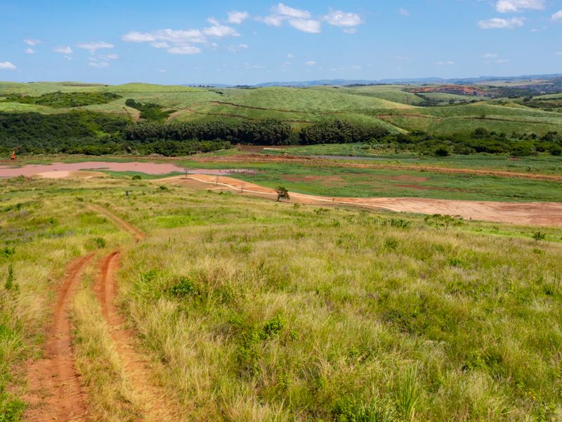 Going, going .. gone - Photo 10