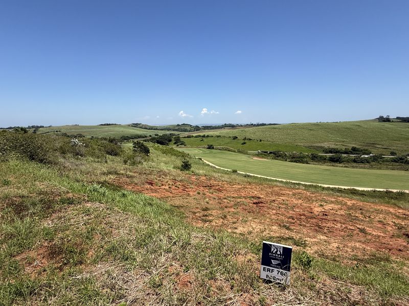 Going, going .. gone - Photo 4