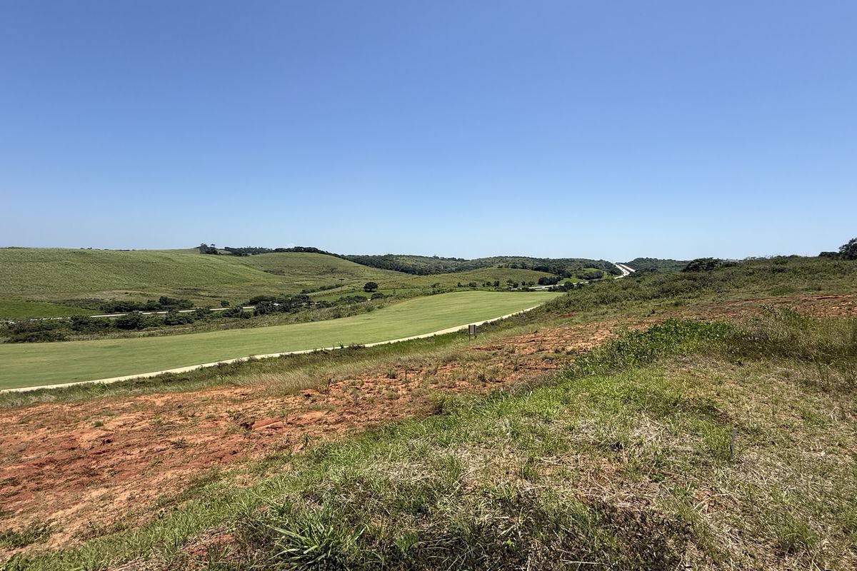 Going, going .. gone - Photo 5