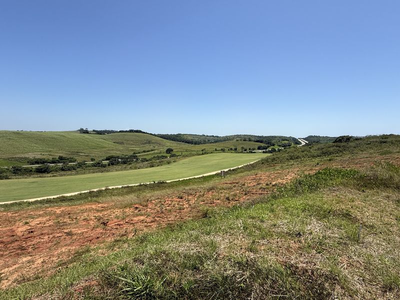 Going, going .. gone - Photo 5