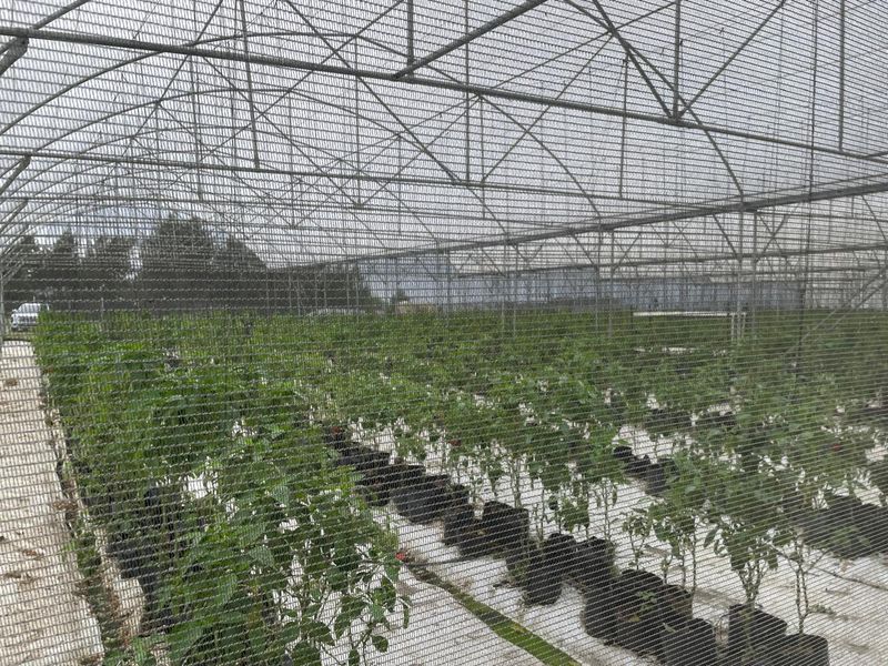 Going Concern Tunnel farm for sale on KZN North Coast - Photo 9