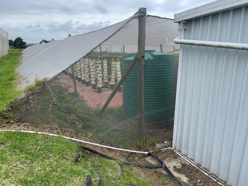 Going Concern Tunnel farm for sale on KZN North Coast - Photo 6