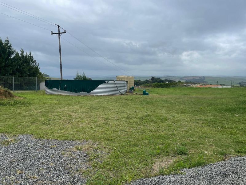 Going Concern Tunnel farm for sale on KZN North Coast - Photo 7