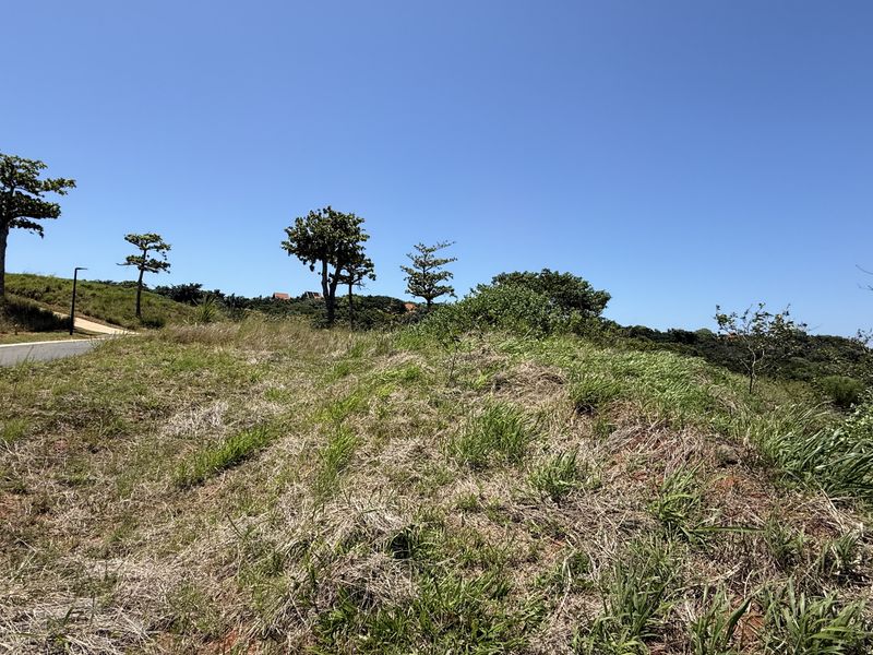 Zimbali Lakes Resort - Photo 9