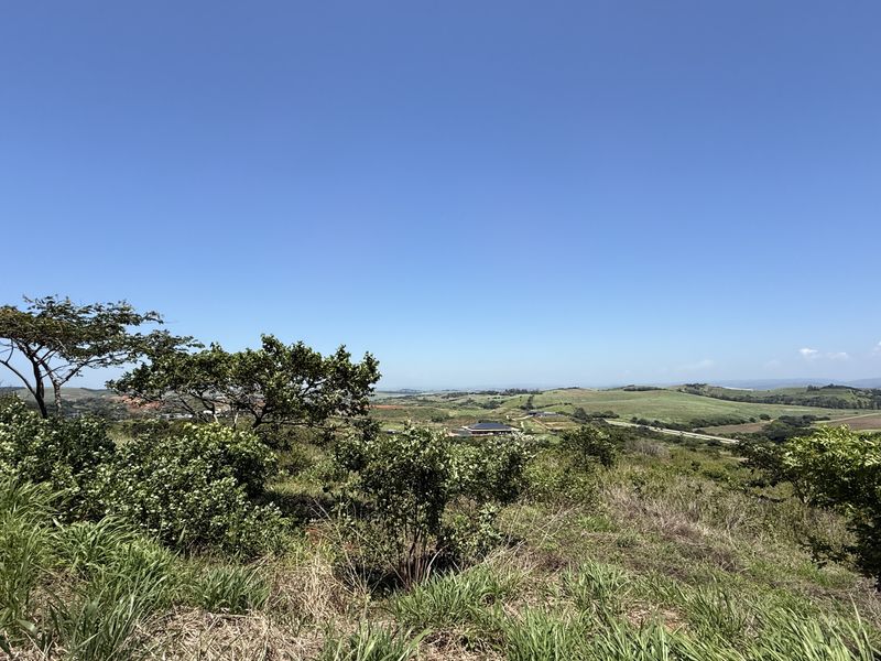 Zimbali Lakes Resort - Photo 7