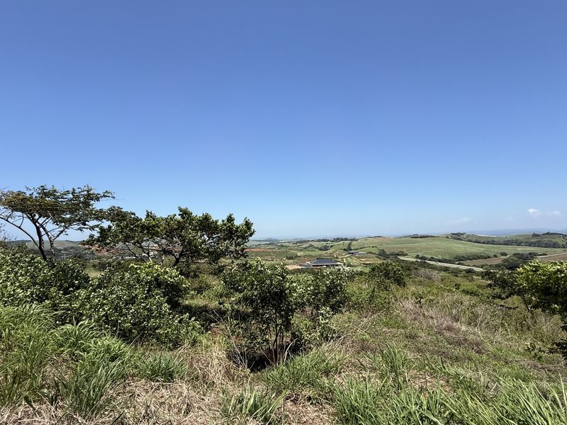 Zimbali Lakes Resort - Photo 6