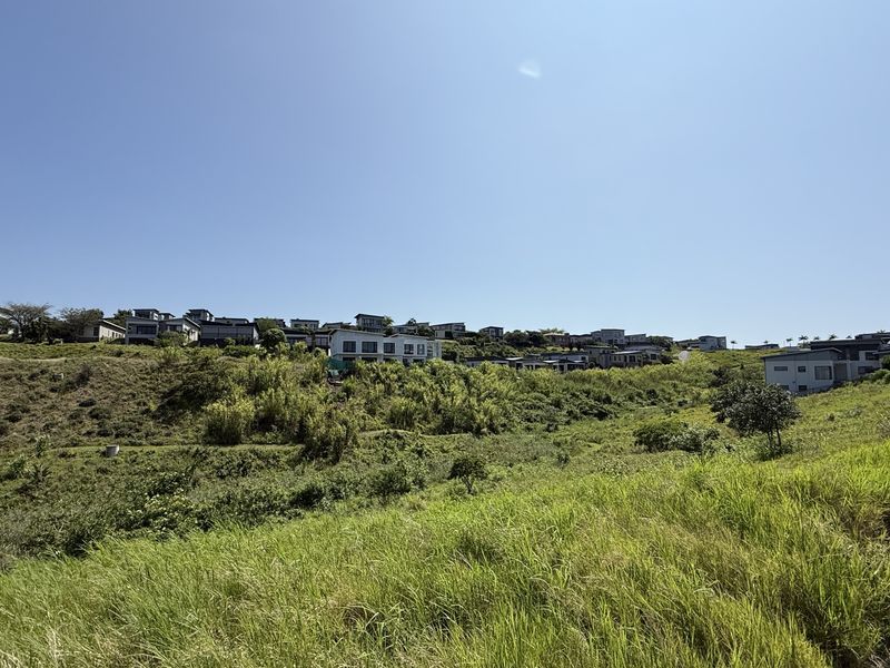 Vacant Stand for Sale in Palm Lakes Estate - Photo 4