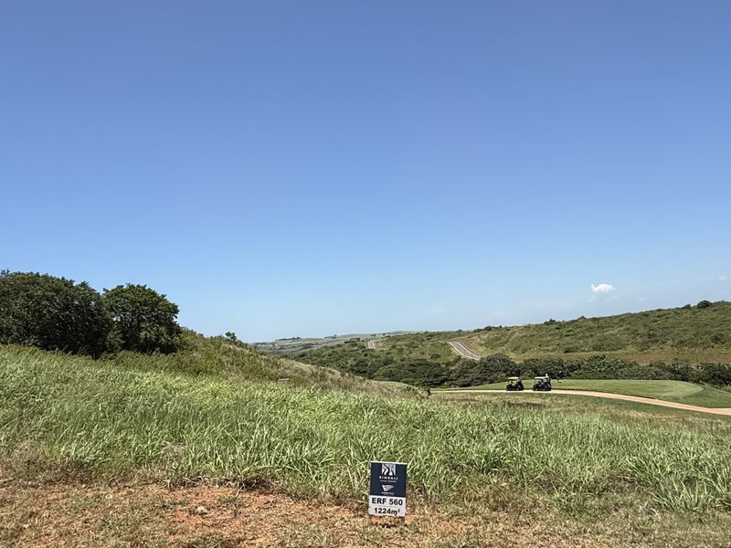 Exceptional Land in Zimbali Lakes - Photo 2