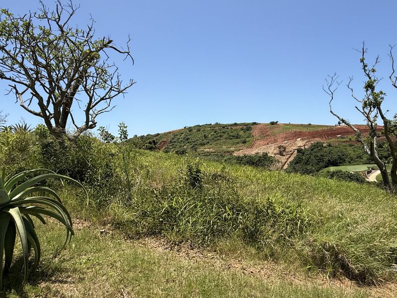 Great position Empty Stand in Zimbali Lakes - Photo 8