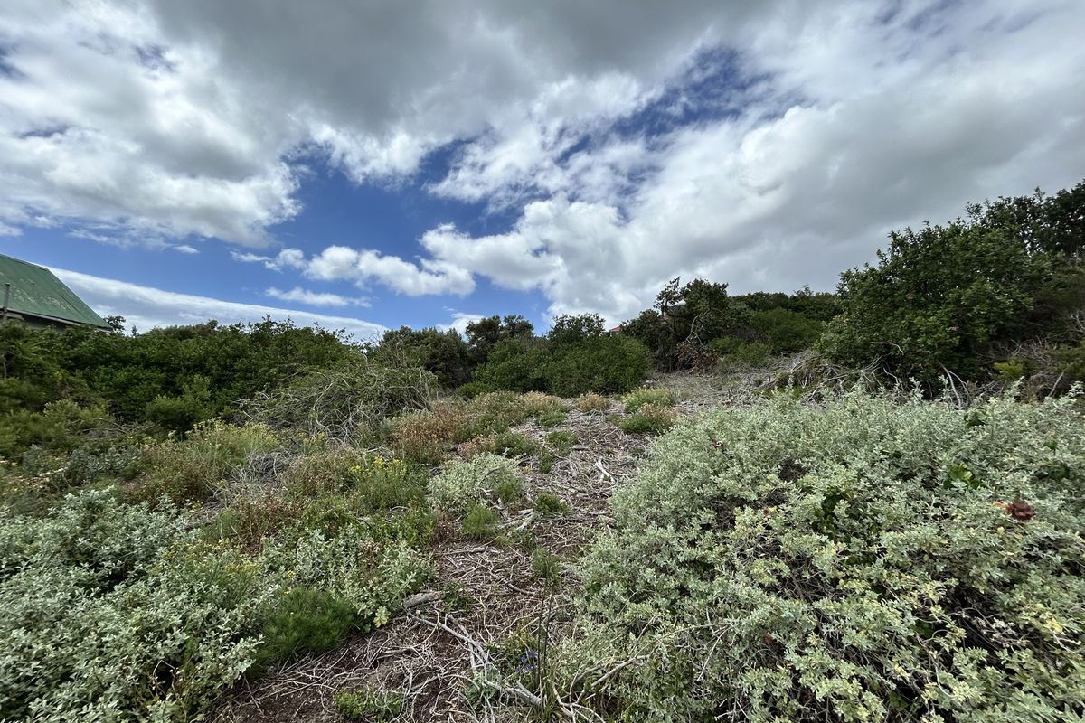 Vacant stand in Paradise Beach - Photo 2