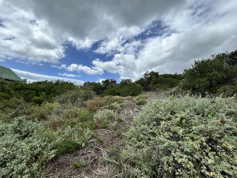 Vacant stand in Paradise Beach - Photo 2