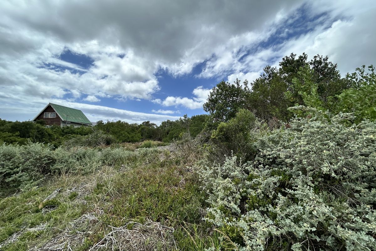 Vacant stand in Paradise Beach - Photo 4