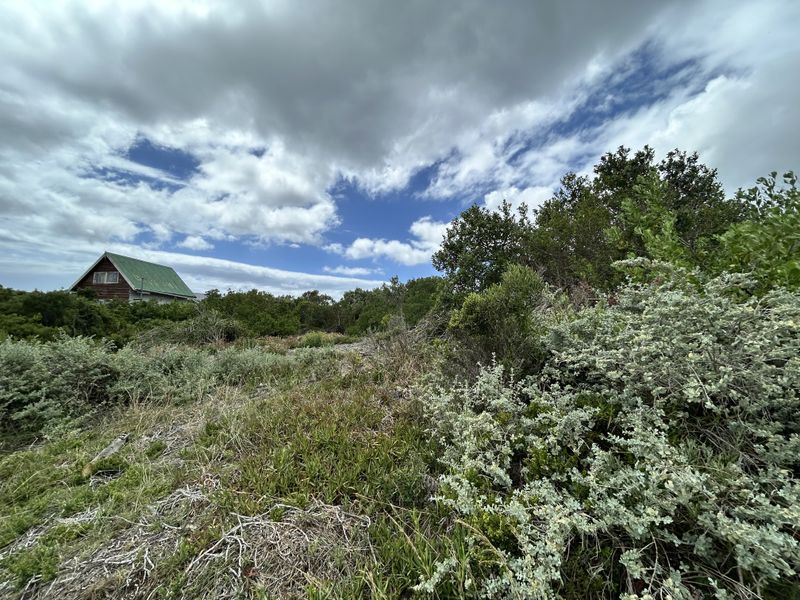 Vacant stand in Paradise Beach - Photo 4
