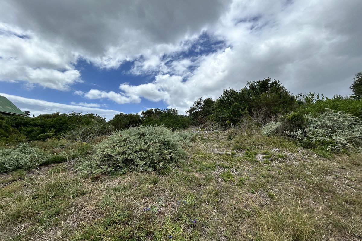 Vacant stand in Paradise Beach - Photo 3