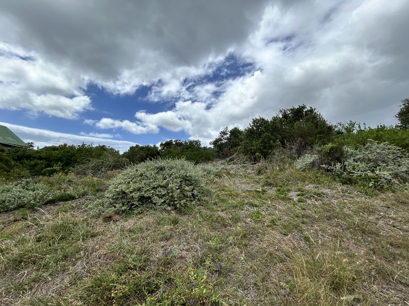 Vacant stand in Paradise Beach - Photo 3