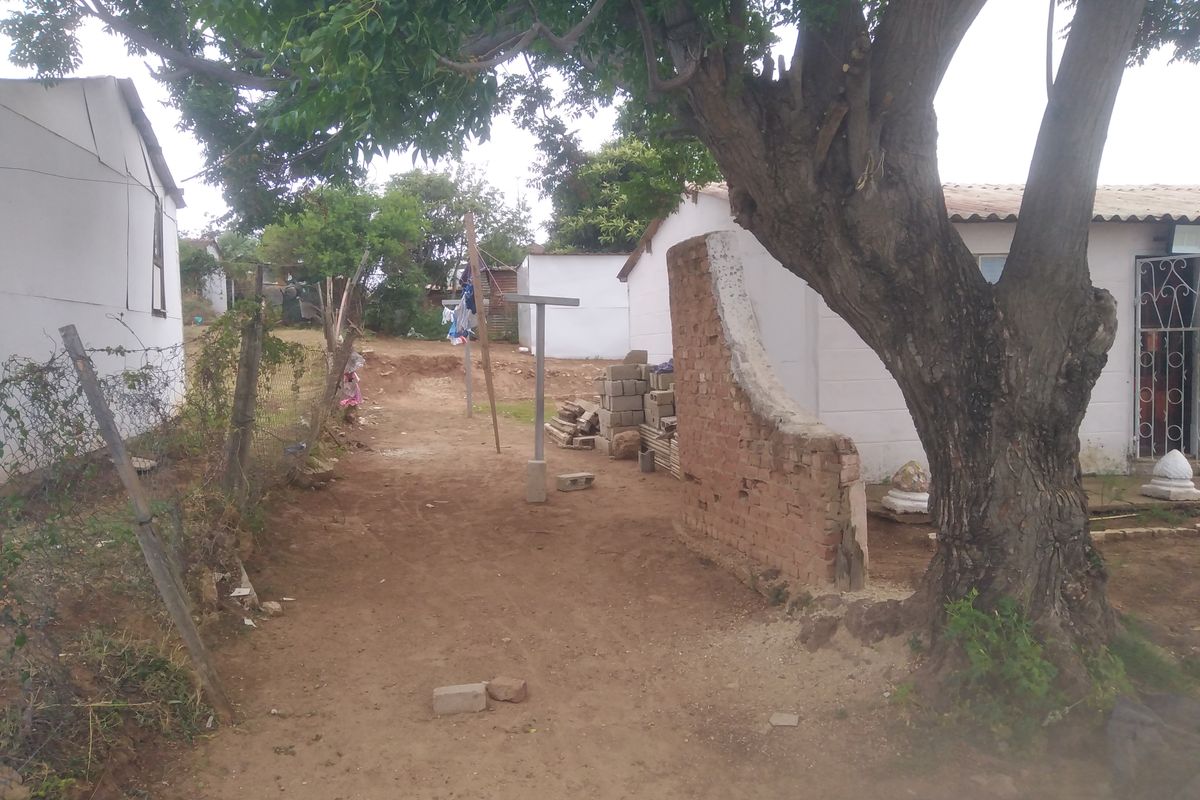 Outdoor area featuring a large tree, unfinished brick wall, and unpaved ground between residential structures.