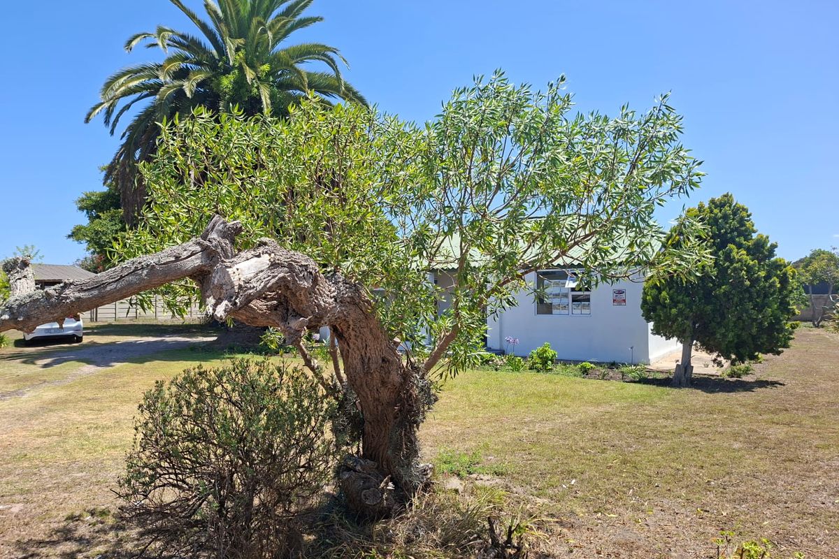 An Exclusive Business Opportunity - Photo 4