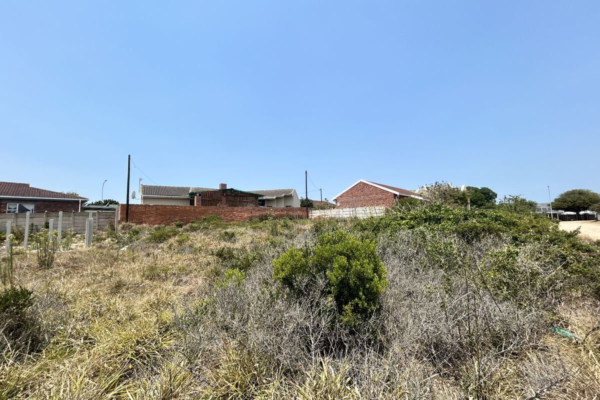 Tranquil Stand Bordering Farmland - Photo 4