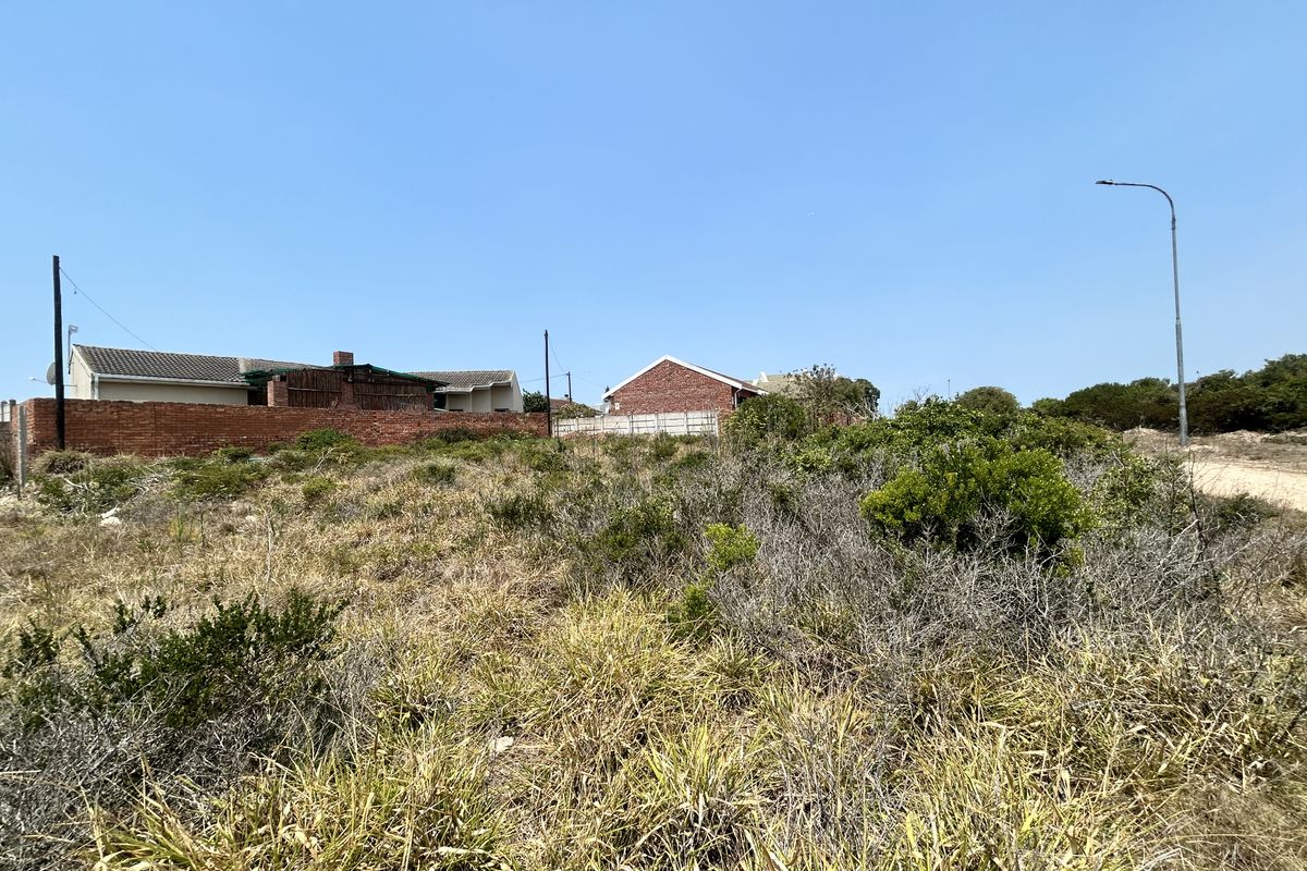Tranquil Stand Bordering Farmland - Photo 3