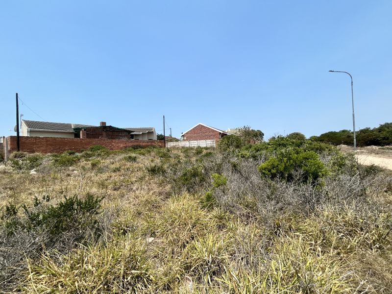 Tranquil Stand Bordering Farmland - Photo 3