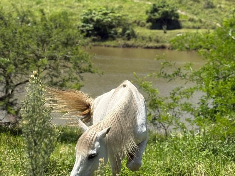 Exclusive New Development in Salt Rock - Seize the Opportunity for Your Own Coastal Haven! - Photo 8