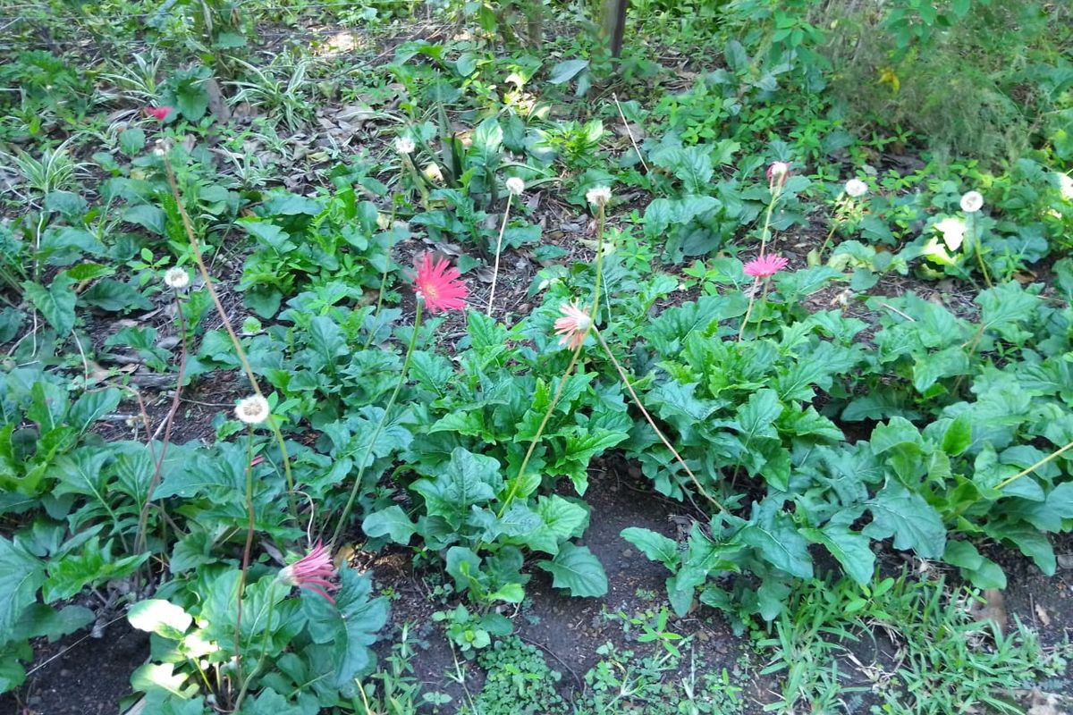 Space Style and Serenity All In One - Photo 5