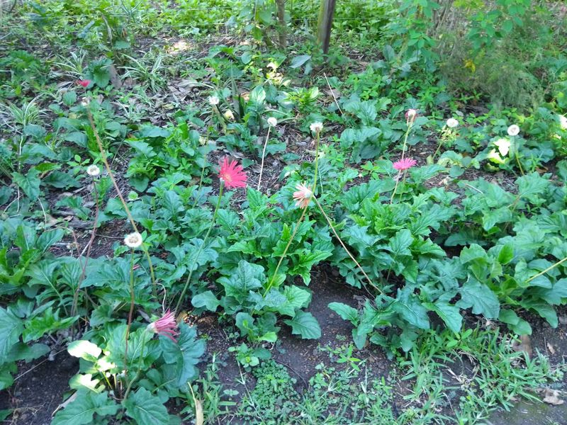 Space Style and Serenity All In One - Photo 5