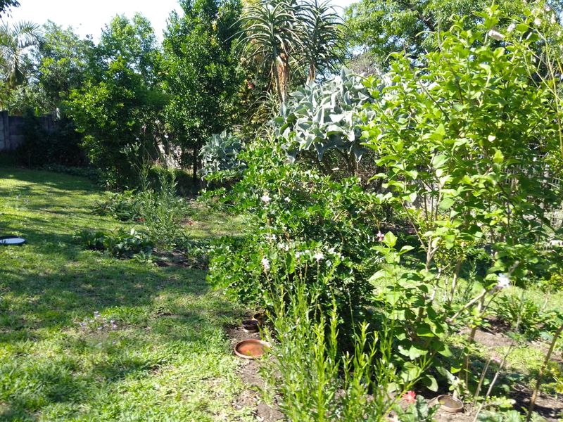 Space Style and Serenity All In One - Photo 7