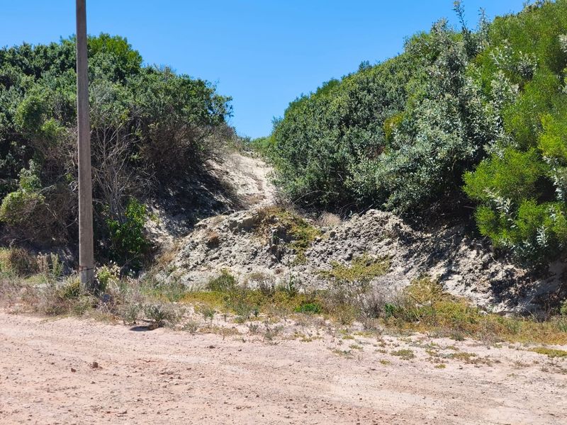 A view of a vacant residential plot featuring natural sandy terrain and established native vegetation along the roadside.