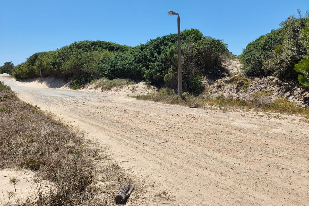 A view of an unpaved residential street with natural vegetation and existing street lighting infrastructure.