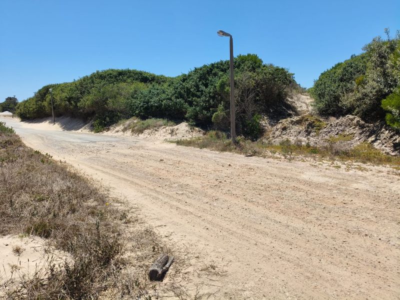 A view of an unpaved residential street with natural vegetation and existing street lighting infrastructure.