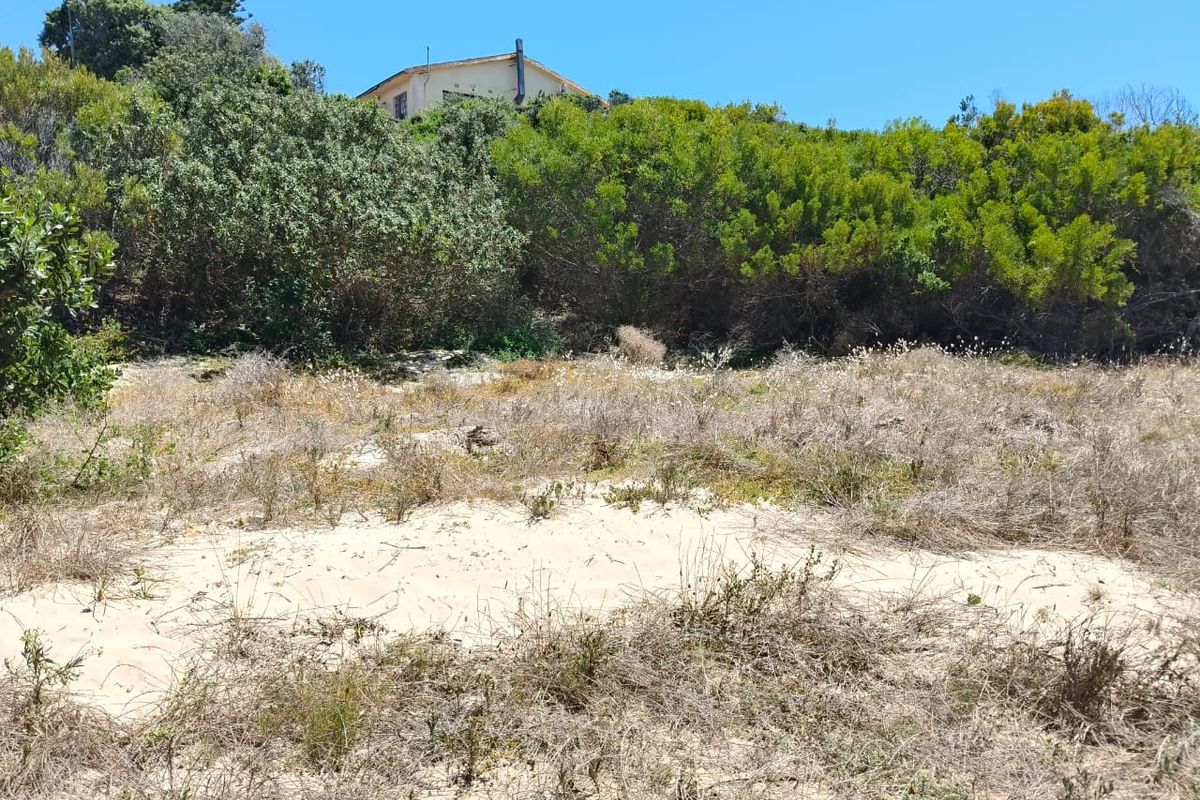 A view of a vacant residential plot featuring sandy terrain and established indigenous vegetation with a neighboring property visible in the background.