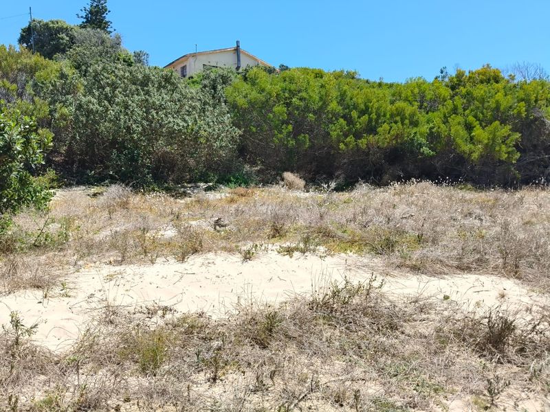 A view of a vacant residential plot featuring sandy terrain and established indigenous vegetation with a neighboring property visible in the background.