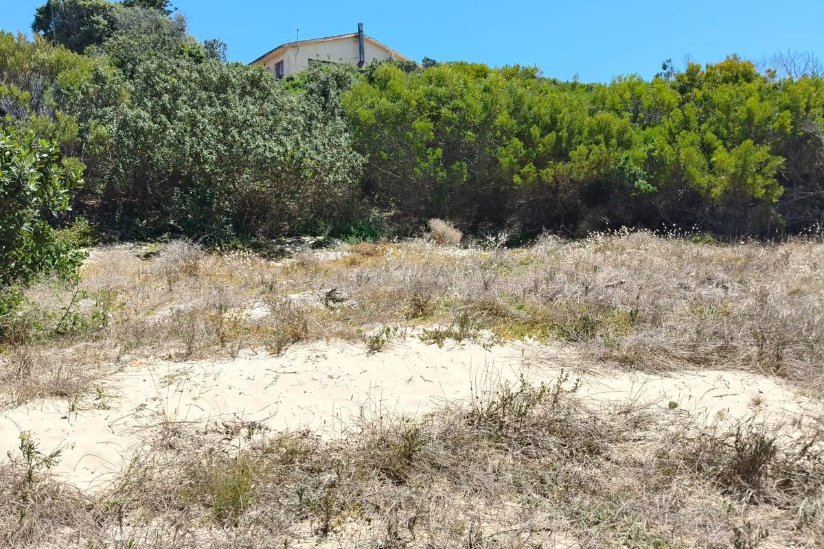 A view of a vacant residential plot featuring sandy terrain and established indigenous vegetation with a neighboring property visible in the background.