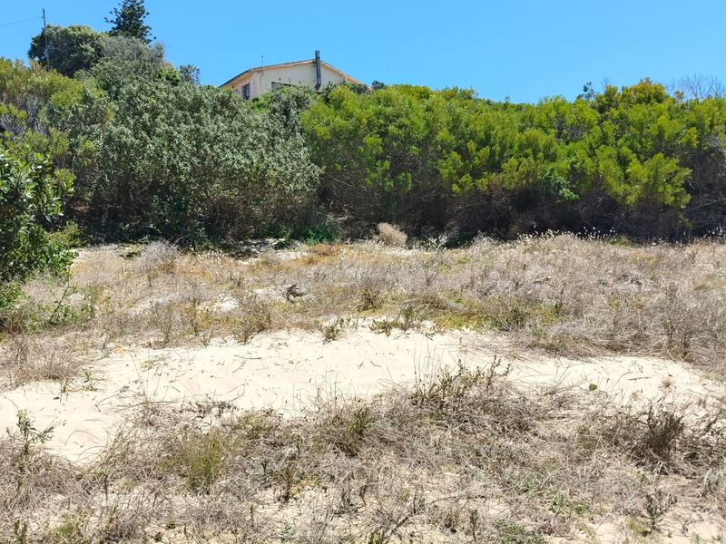 A view of a vacant residential plot featuring sandy terrain and established indigenous vegetation with a neighboring property visible in the background.