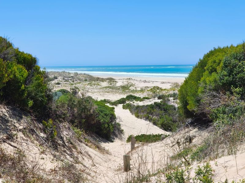 A scenic view of the coastal dunes and beach access path leading towards the ocean.