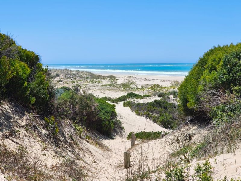 A scenic view of the coastal dunes leading down to the sandy beach and ocean horizon.