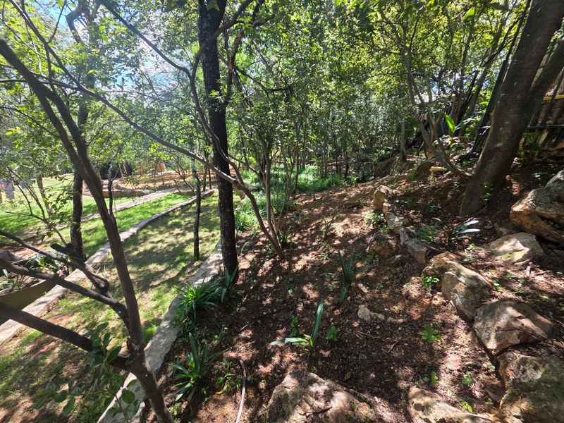 Beautiful 2-Bedroom House for Sale in Vaaloewer - Photo 3