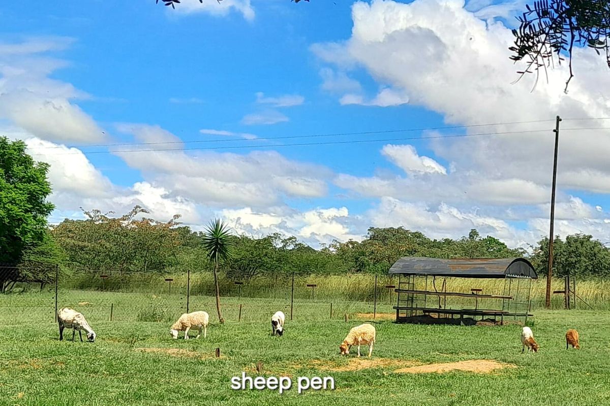 SHEEP and CATTLE farm with Three houses and Rental Income - Photo 2