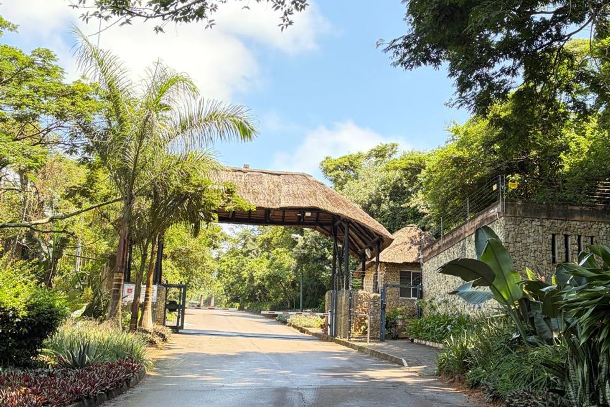 Wake up to the ocean – every single day. - Photo 5