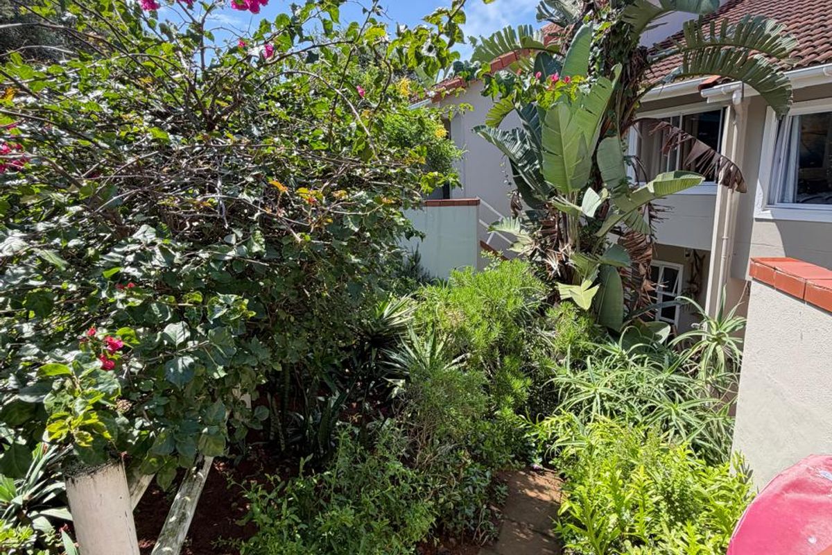 A view of the rear garden area featuring established landscaping, a paved pathway, and a partial view of the townhouse exterior facade.