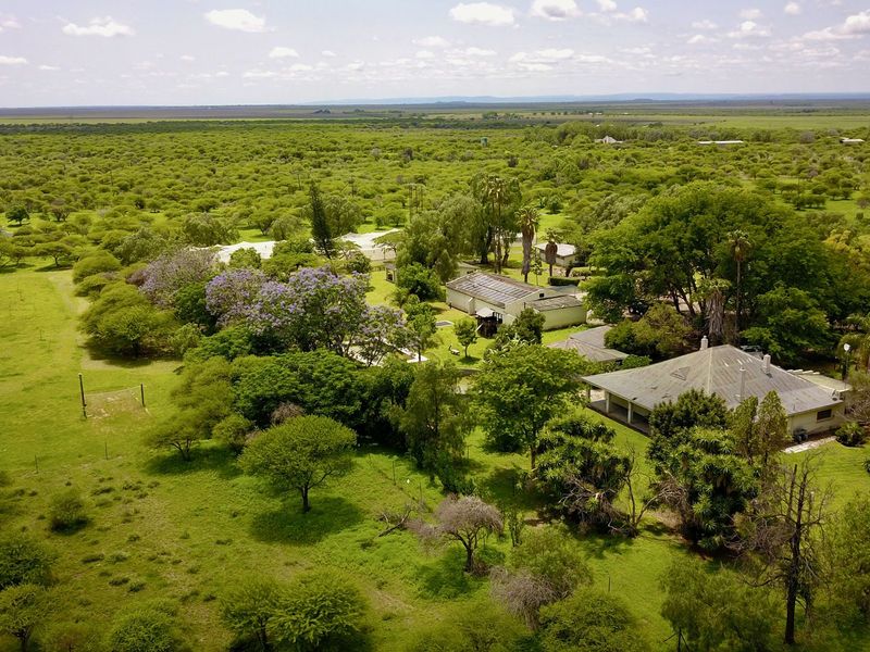 Small holding - Investment opportunity - Photo 4