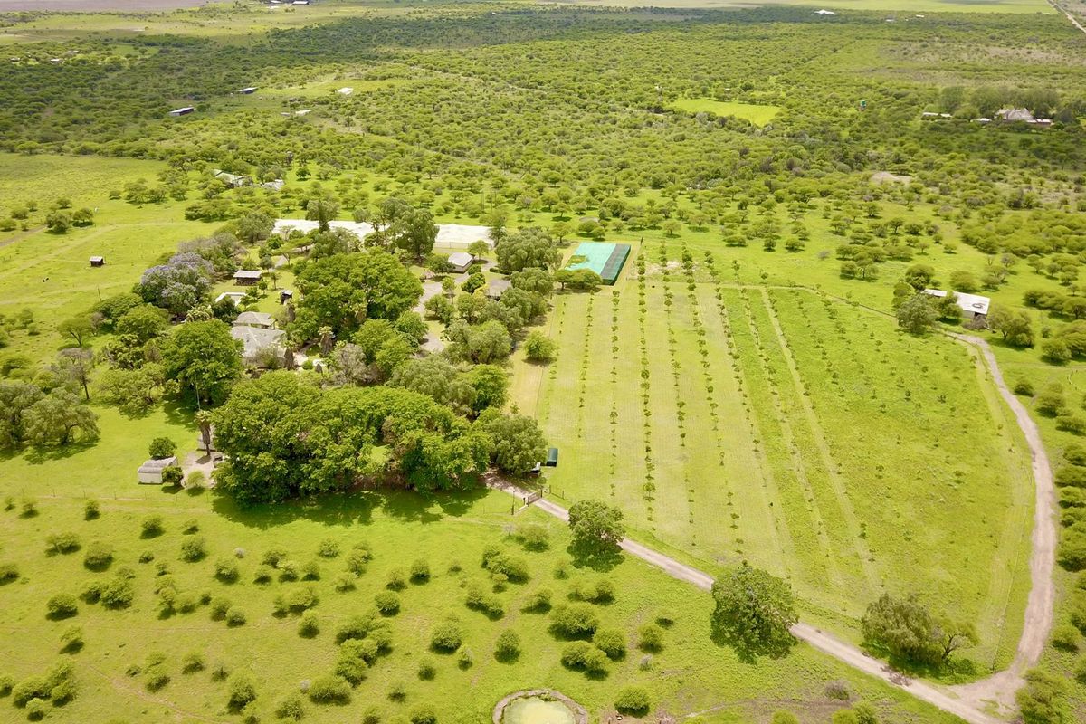 Small holding - Investment opportunity - Photo 2