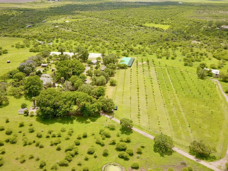 Small holding - Investment opportunity - Photo 2